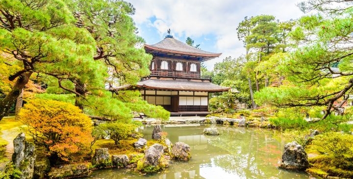 Lo que necesitas de una tienda de productos japoneses para tu jardín